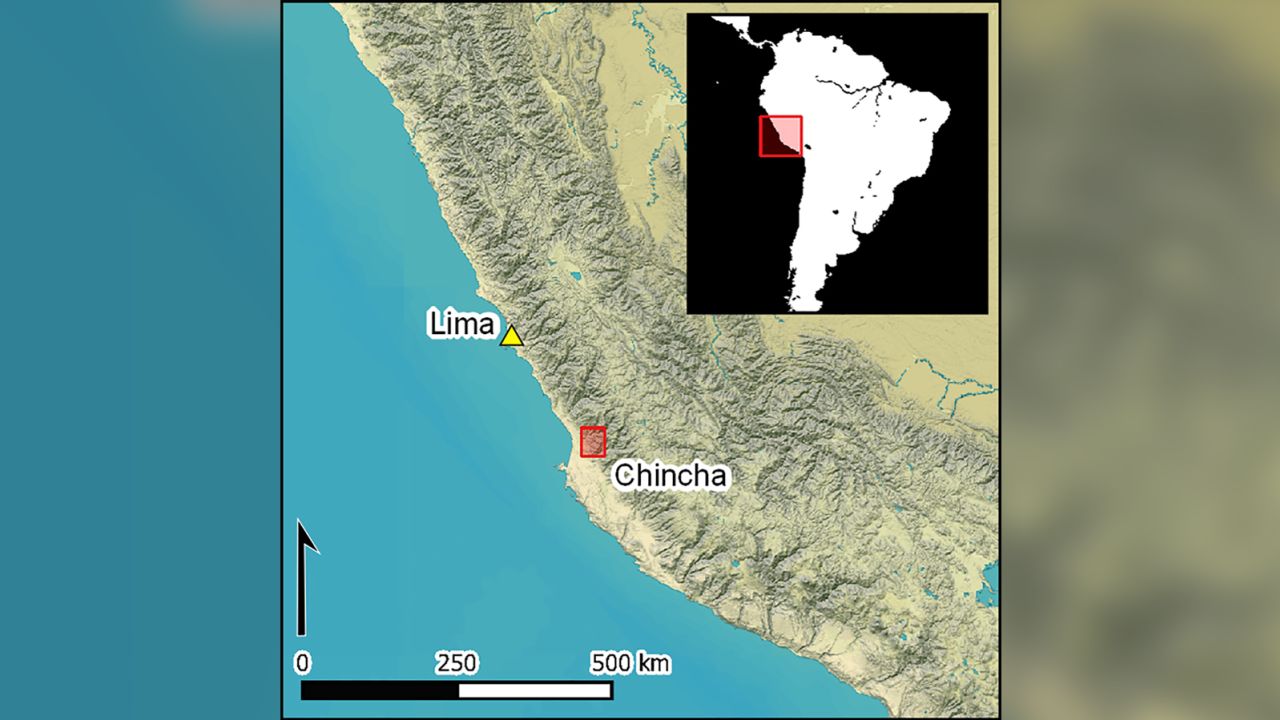 The Chincha Valley on the southern coast of Peru is where the discoveries were made.