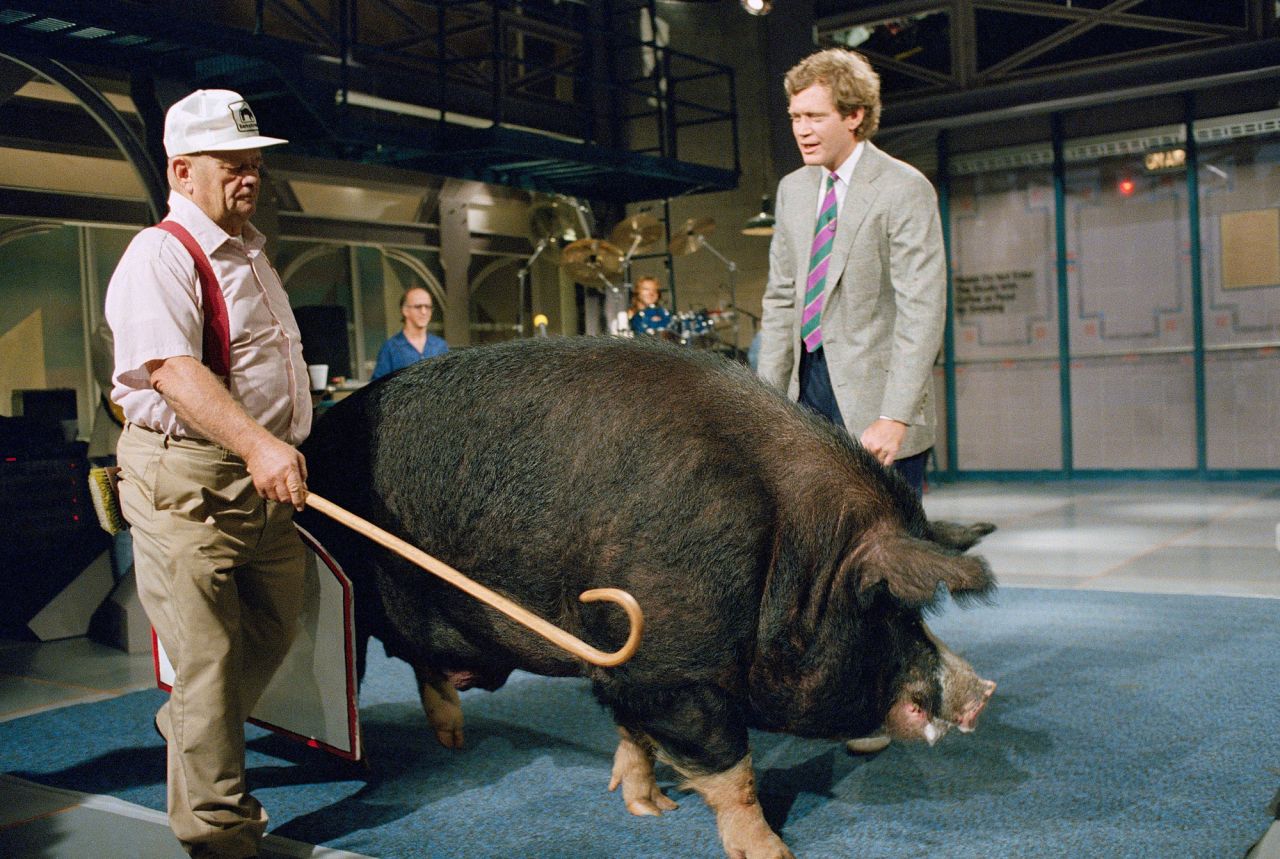 Farmer Bob Corbett shepherds his prize-winning boar past Letterman on the "Late Night" set in 1987.