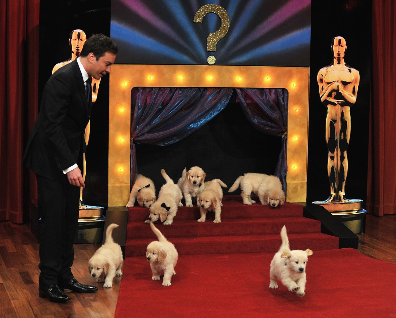 Fallon appears with puppies on a "Late Night" episode in 2011. They were helping him predict the winners of the upcoming Academy Awards. 