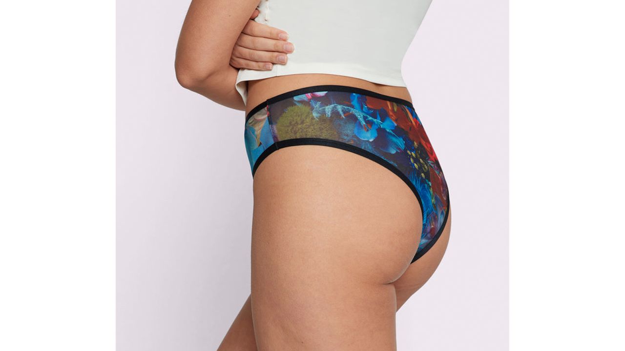 High Rise Cheeky Silky Mesh
