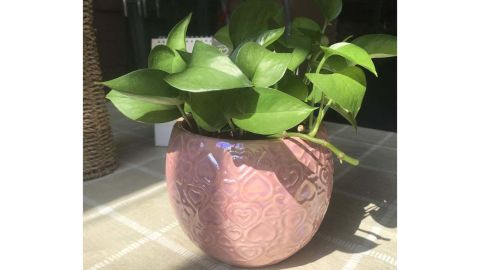 6 inch pink indoor planter pot