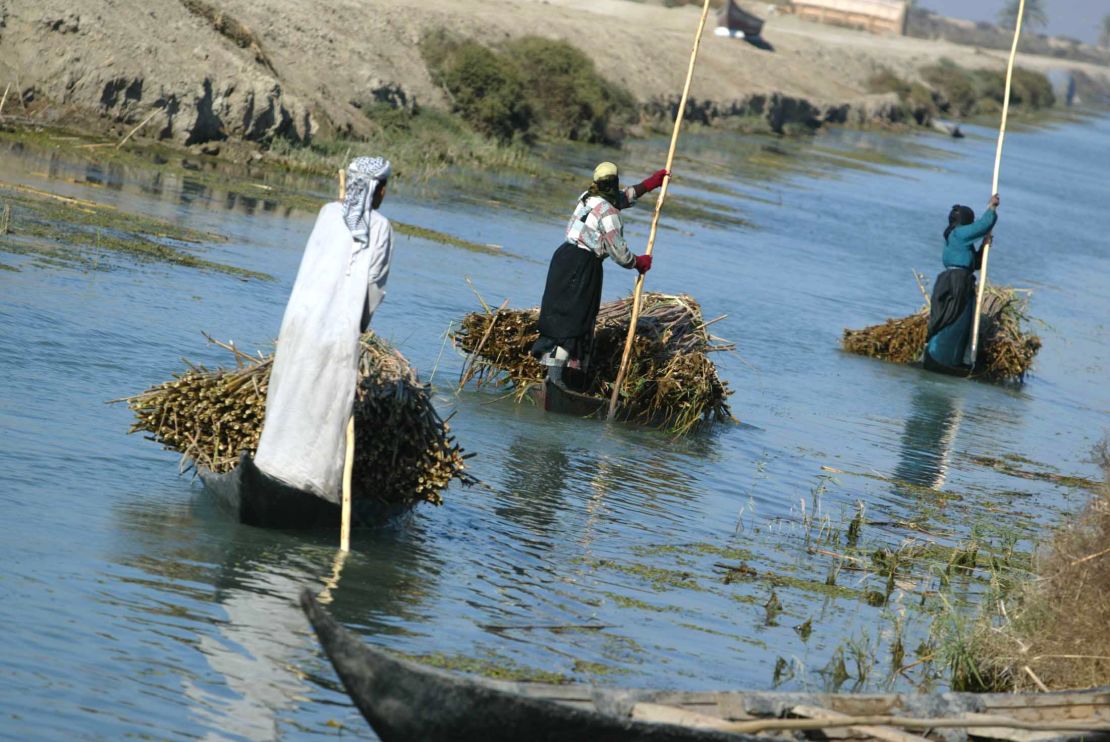 Iraqi Marsh Arabs steer their canoes along the waters of Hor Hamidi. Their homes are built from reeds; they fish the waters and herd cattle and sheep. Migratory birds also use the wetlands to rest during their long journeys south and north.  