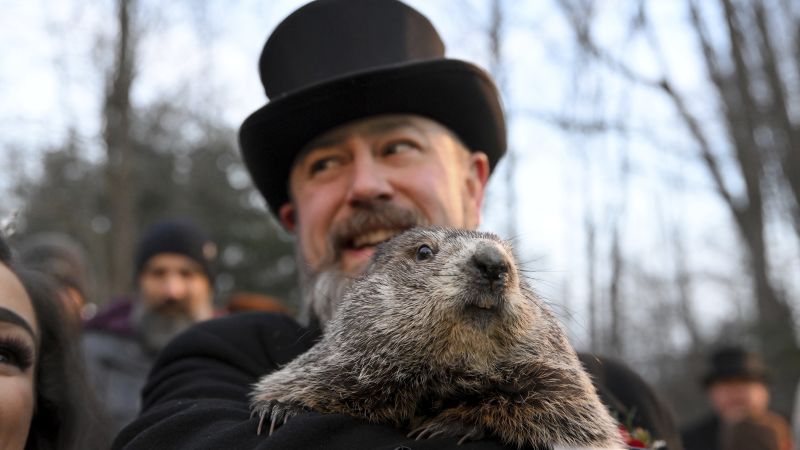 Groundhog Day: Punxsutawney Phil sees his shadow, 6 more weeks of ...