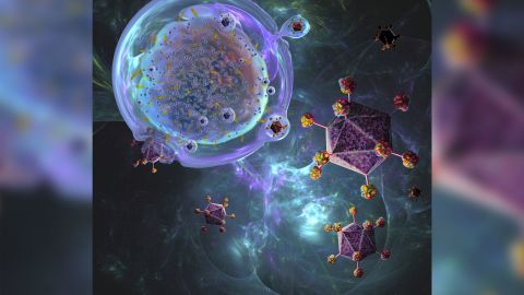 CAR-T cell therapy is a process being developed to treat cancer.