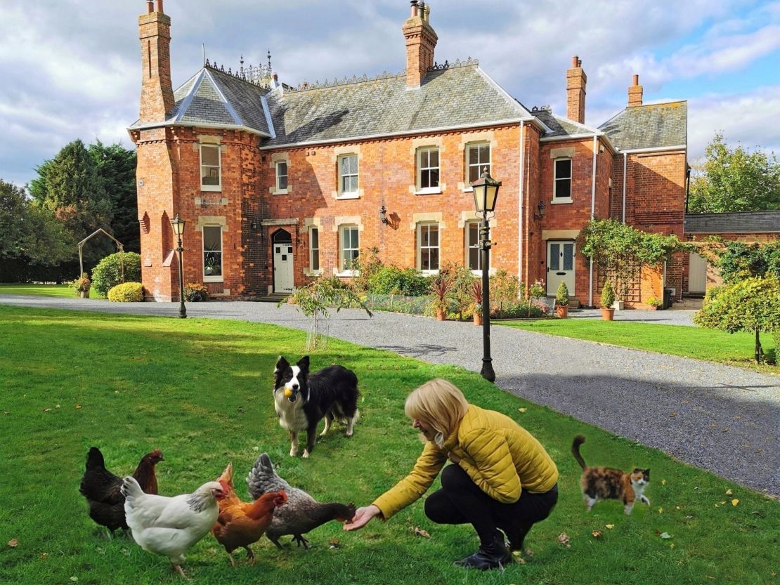 Julie feeds chickens while house sitting at a seven bedroom home in the UK back in 2018.