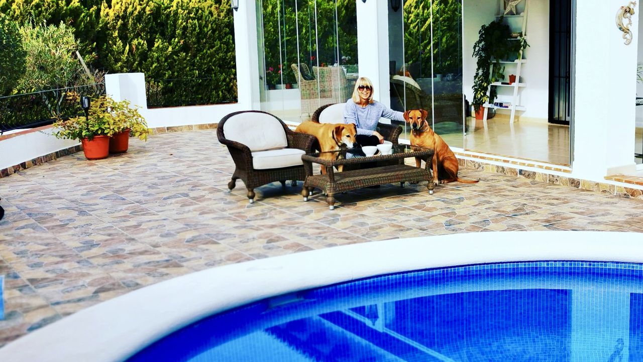 The Ashworths' many house sitting gigs including looking after two Ridgeback dogs at a villa in Spain.