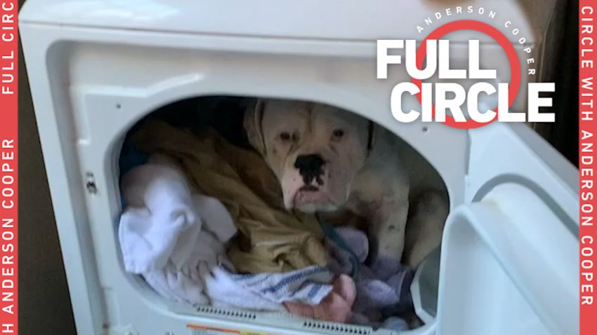 Dog refuses to leave warmth of dryer in viral video | CNN