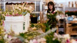 US Stocks Slide As Putin Orders Troops Into Ukraine. Oil Prices Near $100 Per Barrel - CNN 7 220203103301 farmgirl flowers