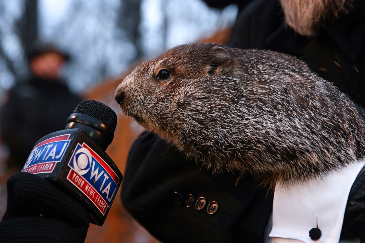 Punxsutawney Phil, the weather prognosticating groundhog, is held by handler A.J. Dereume during the traditional Groundhog Day celebration in Punxsutawney, Pennsylvania, on Wednesday, February 2. Phil's handlers said the groundhog <a href="https://www.cnn.com/2022/02/02/us/groundhog-day-punxsutawney-phil-trnd/index.html" target="_blank">saw his shadow,</a> which means six more weeks of winter, according to legend.