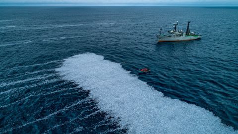 The dead fish formed a huge white carpet in the Bay of Biscay, off the coast of La Rochelle