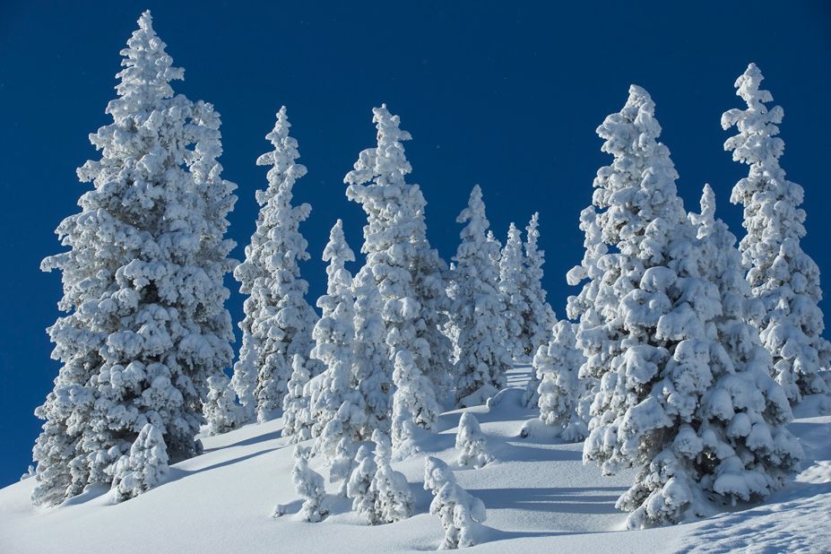 The environmental impact of less snow is also significant. It can harm plants and animals that rely on snow for insulation from sub-freezing temperatures and it puts water supplies at risk. California, for example, relies on snowmelt from the Sierra Nevada mountains for 75% of its agricultural water, according to the <a href="https://www.climate.gov/news-features/featured-images/warming-winters-and-dwindling-sierra-nevada-snowpack-will-squeeze" target="_blank" target="_blank">US National Oceanic and Atmospheric Administration</a>.