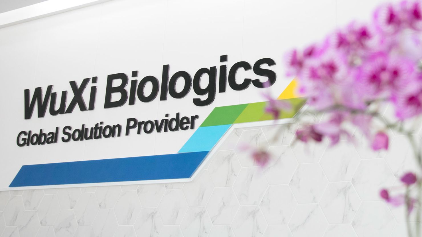 药明生物(02269.HK)热门股分析报告