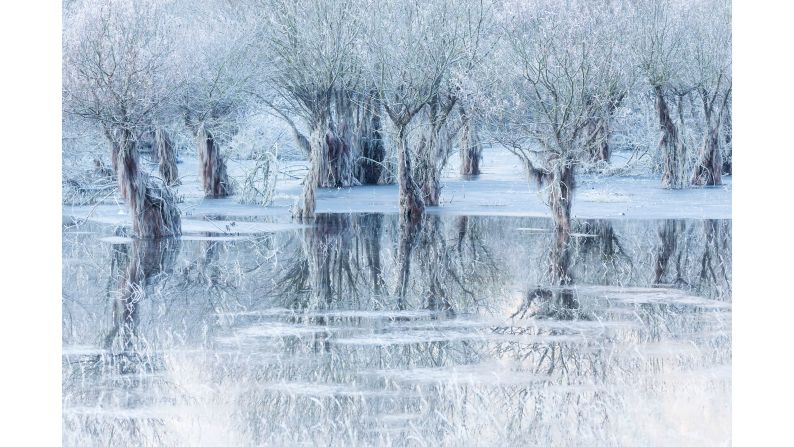 Cristiano Vendramin's enchanting image of a frozen lake in northern Italy has won the People's Choice Award for Wildlife Photographer of the Year 2021.