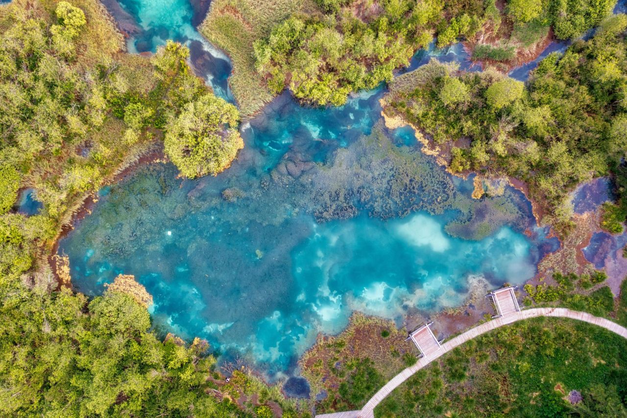 <strong>Zelenci Nature Reserve:</strong> Fed by bubbling springs that give it a bright turquoise color, this lake and its surrounds are home to more than 1,000 species of wildlife. <br />