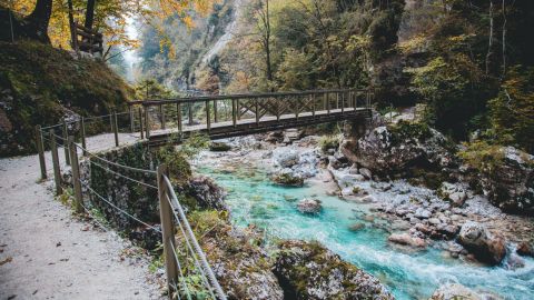 Tolmin Gorges: Deep green waters rushing between forested limestone walls.