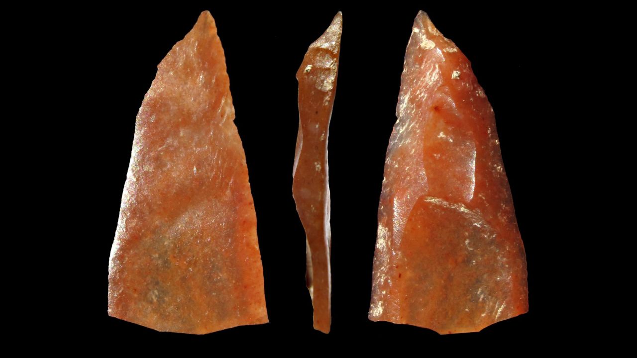 These Neronian stone tools were made by early modern humans who lived in Grotte Mandrin. 