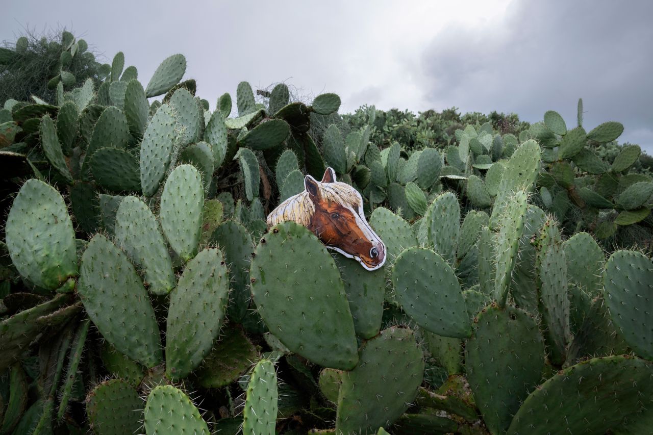 A paper cutout of a horse is seen inside a pear cactus at a park in Tel Aviv, Israel, on Saturday, February 5.