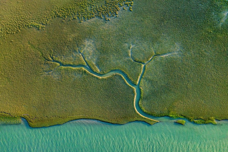 Shane Gross took this photograph of a salt marsh in Oyster, Virginia, using a drone. It shows a huge seagrass restoration project being conducted by the Virginia Institute of Marine Science and The Nature Conservancy. "We give trees a lot of credit for sequestering carbon, but salt marshes, mangroves and seagrasses (collectively known as blue carbon) are disproportionately massive carbon sinks," he wrote with his submission.