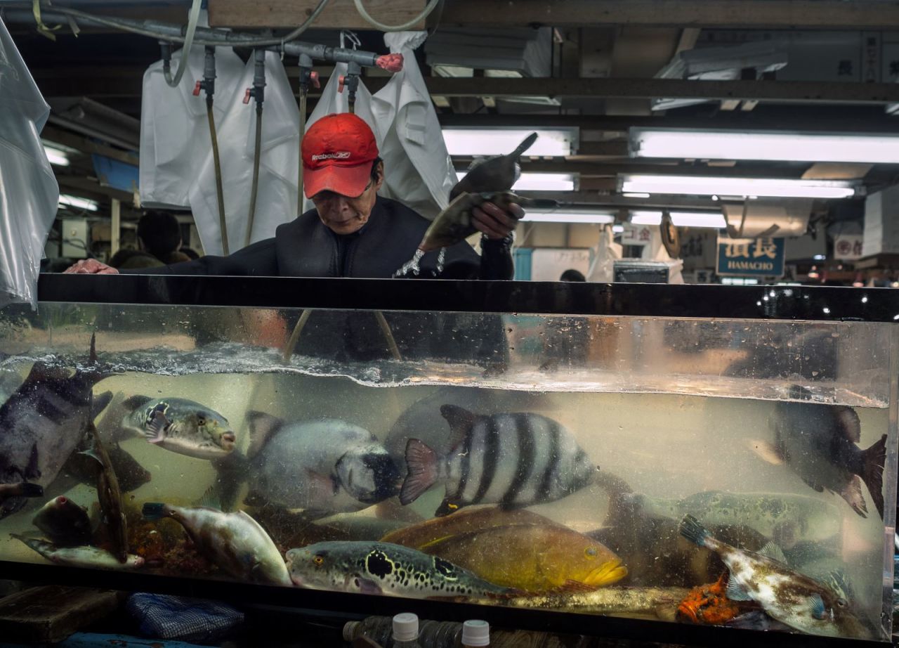 This photograph taken by Kevin De Vree shows an overcrowded aquarium in a Tokyo fish market. Vree wrote that pufferfish can be poisonous if prepared improperly, yet they are so popular that overfishing could be pushing one species to the brink of extinction. "To me this photo symbolizes humans' deadly appetite, leading to overfishing and ultimately the destruction of our oceans."