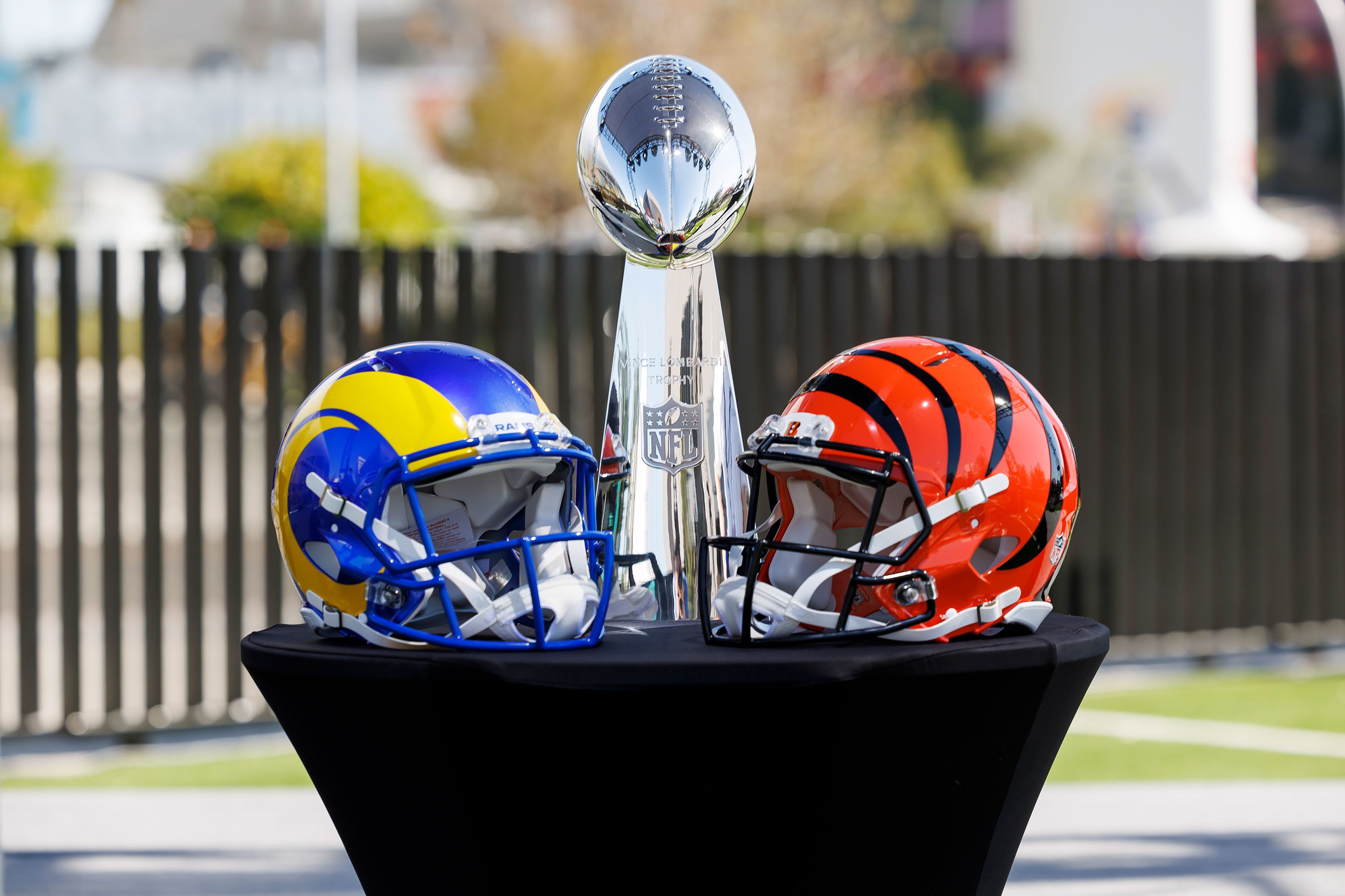 Super Bowl predictions 2022: Who's going to win on Sunday between Rams and  Bengals - Bleeding Green Nation