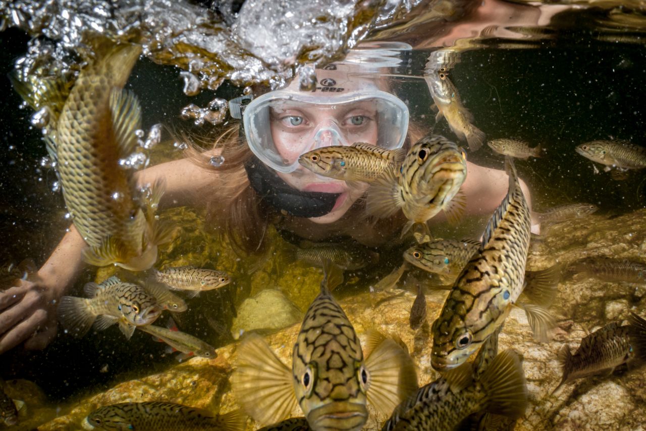 Shelton also likes to capture the moments of connection and curiosity between people and freshwater life. Shown here snorkelling with Cape kurper fish is Jordan Calder, a conservation biologist turned life sciences schoolteacher.
