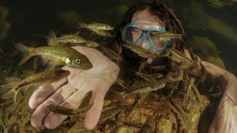 Jeremy Shelton snorkelling in a river.