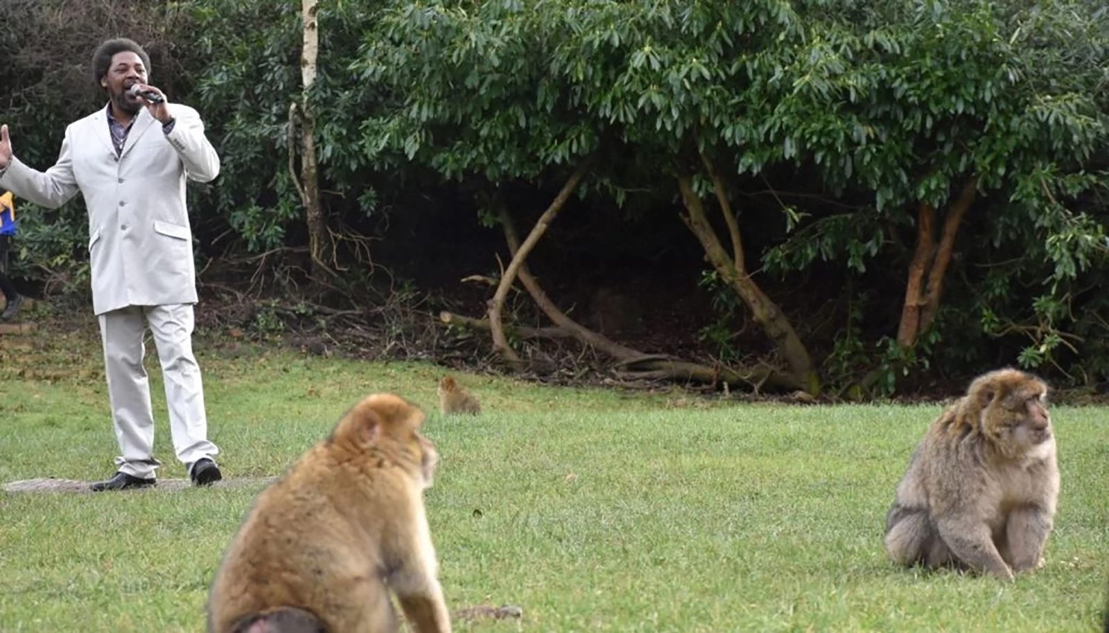 Marvin Gaye: Zoo hopes music will help during monkey mating season | CNN