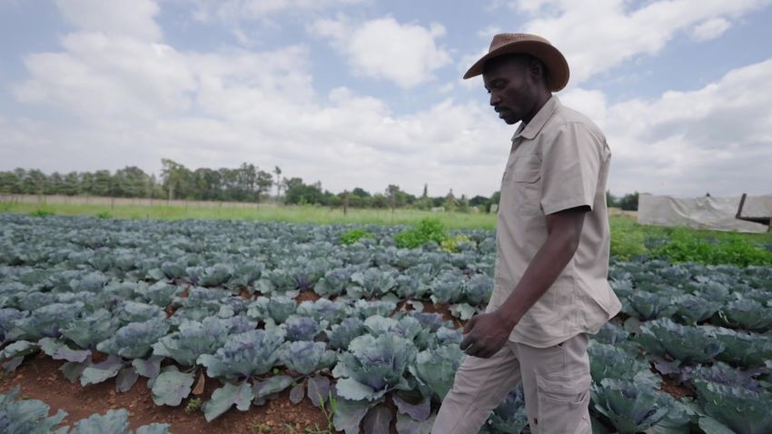 These African Farmers And Entrepreneurs Are Planting Seeds For A Brighter Future Cnn 0970