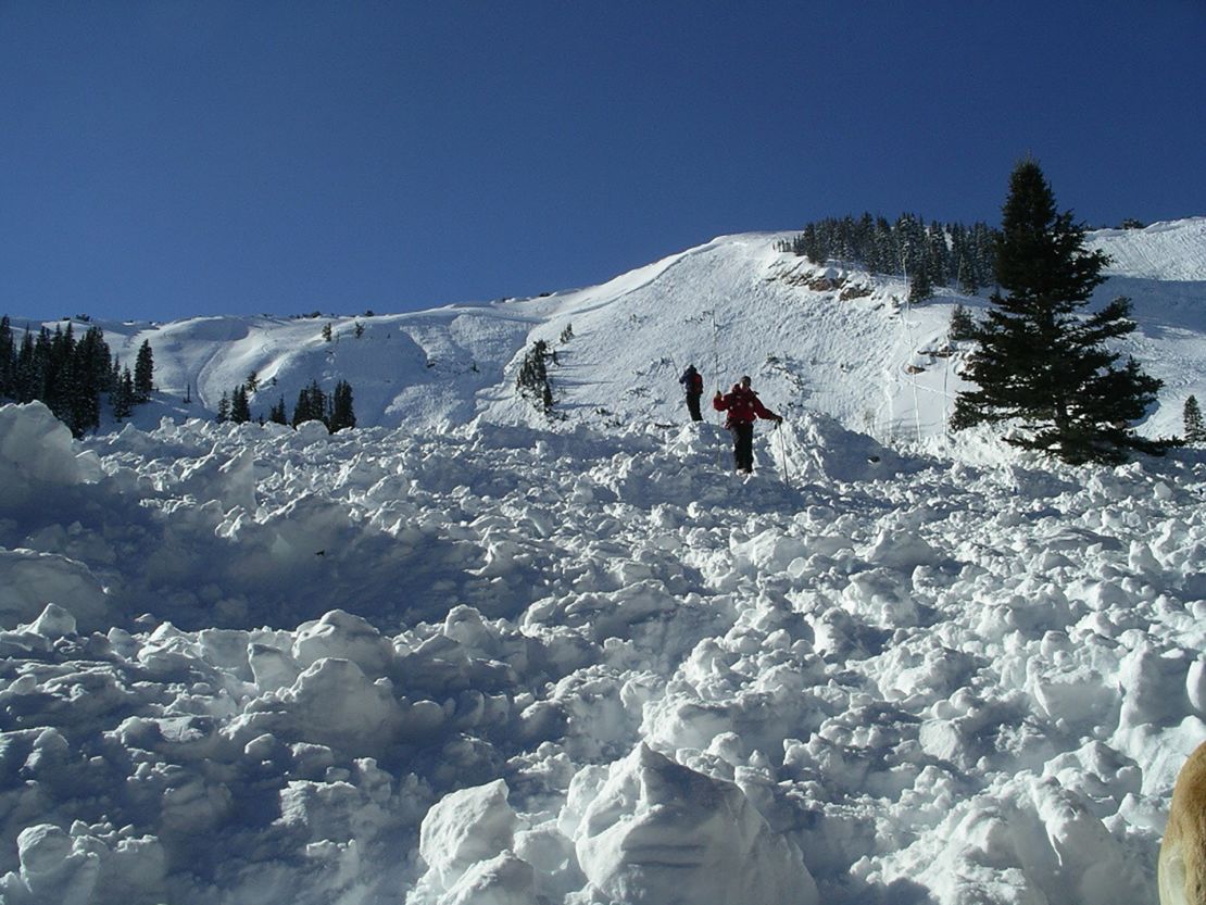 Rescuers working Dutch Draw avalanche in 2004 debris field, search for visual clues of people buried.