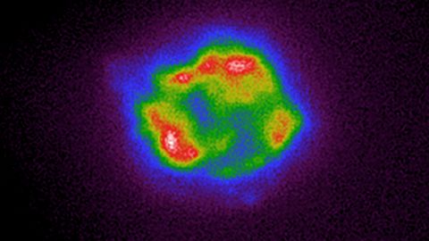 This IXPE image maps the intensity of X-rays coming from Cassiopeia A. The colors, including cool purple, blue, red and white, correspond with the increasing brightness of the X-rays.