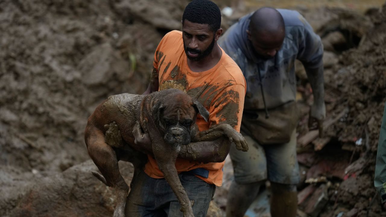 A man carries a dog away from an affected area.
