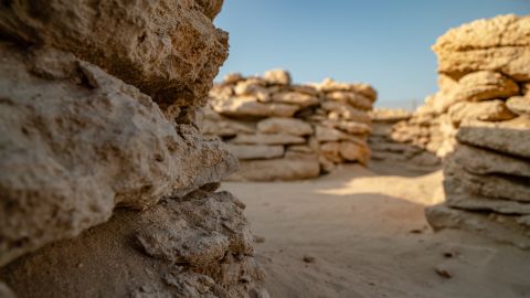 The structures uncovered by archaeologists in Abu Dhabi.