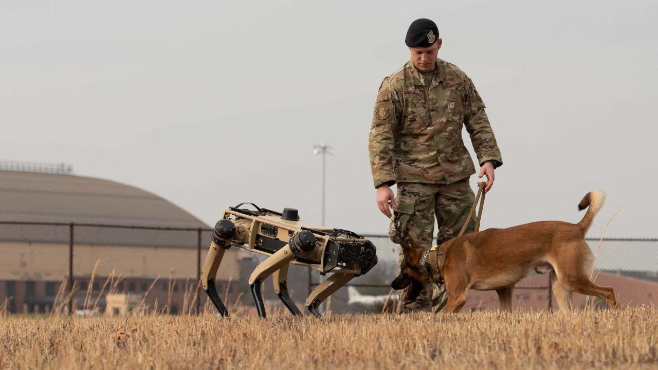 This image released by the US Air Force in 2020 shows US Air Force Staff Sgt Carmen Pontello introducing Hammer, a working dog, to the Ghost Robotics Vision 60 at Scott Air Force Base in Illinois.