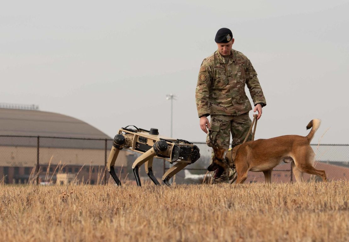 This image released by the US Air Force in 2020 shows US Air Force Staff Sgt Carmen Pontello introducing Hammer, a working dog, to the Ghost Robotics Vision 60 at Scott Air Force Base in Illinois.