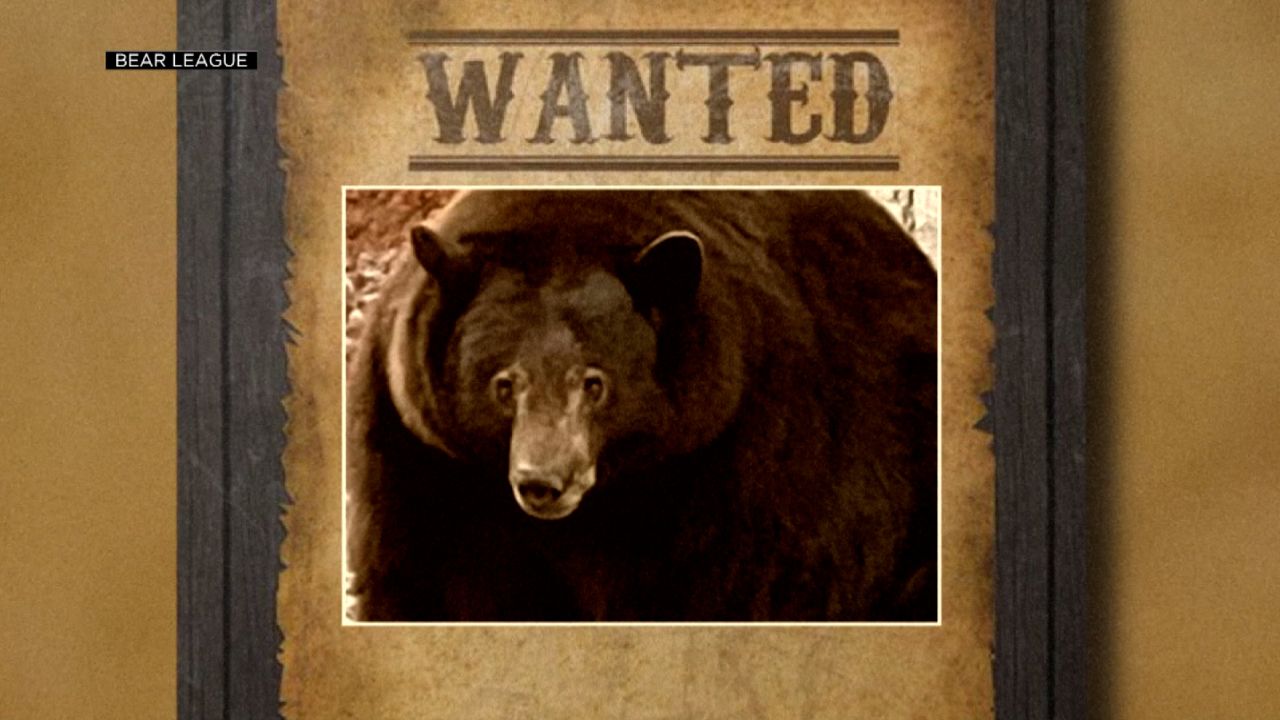 220217184315 02 Black Bear Homes Lake Tahoe Wanted ?c=16x9&q=h 720,w 1280,c Fill