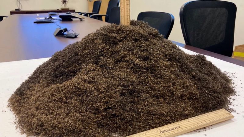 Here’s what one million mosquitoes look like