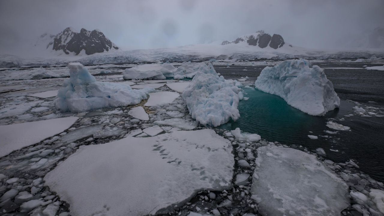 Icebergs and sea ice in Lemaire Channel in Antarctica in early February.