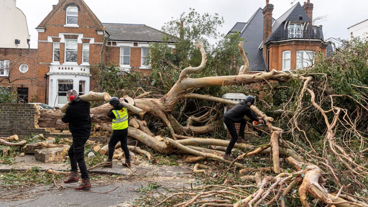 A large tree fell after high winds battered an area of Battersea, London on Friday.