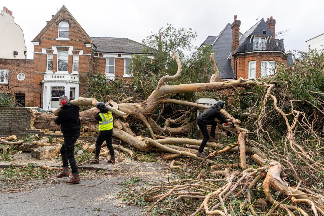 A large tree fell after high winds battered an area of Battersea, London on Friday.