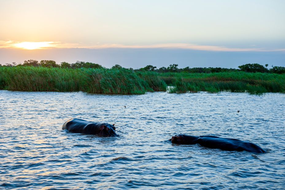The iSimangaliso Wetland Park, which spans <a href="https://whc.unesco.org/en/list/914/" target="_blank" target="_blank">220 kilometers</a> of South Africa's coastline and has a huge diversity of ecosystems and species, including flamingo, turtles and hippopotamus, could also be severely damaged by sea level rise. 