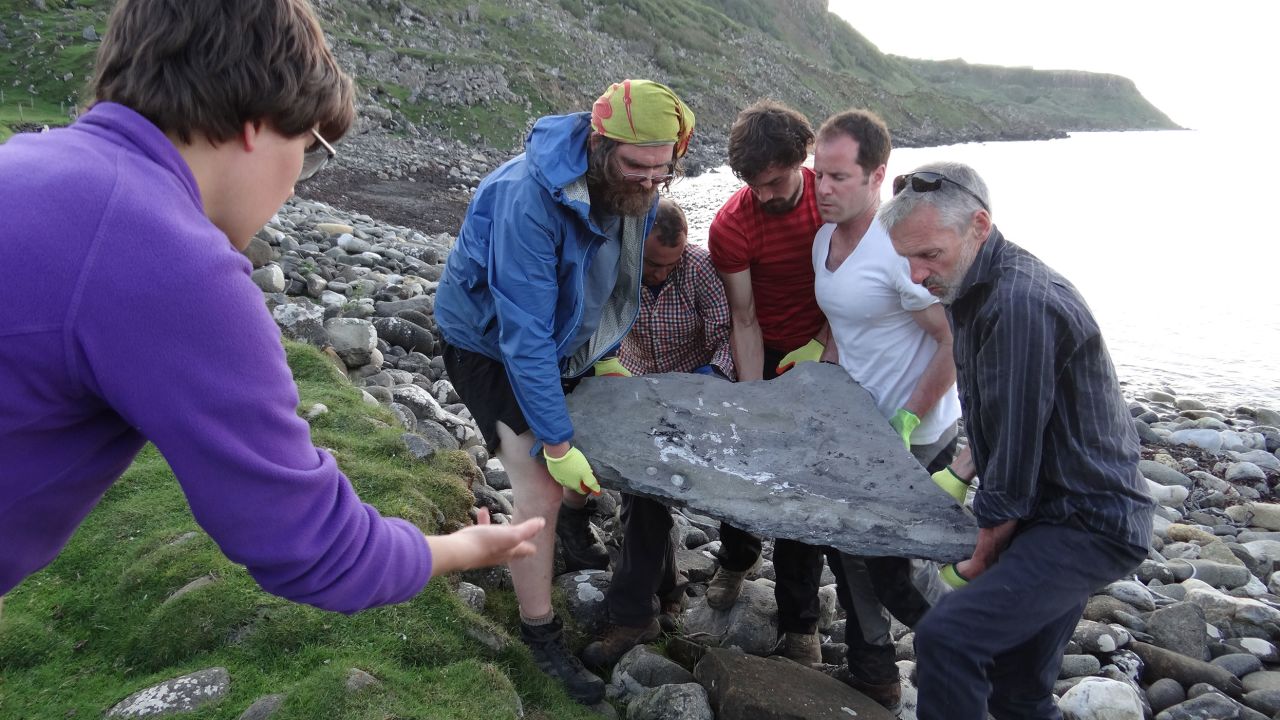 Researchers remove the unusually well-preserved skeleton of a previously unknown pterosaur, discovered on the Isle of Skye, off the west coast of Scotland.