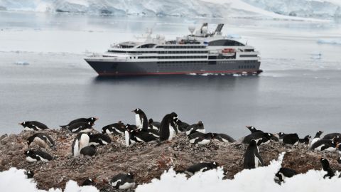 Se ven pingüinos con un crucero de fondo en la Antártida.  Aproximadamente 74.000 turistas visitaron la Antártida durante el verano de 2019-2020, más del doble que hace una década, según la IAATO.