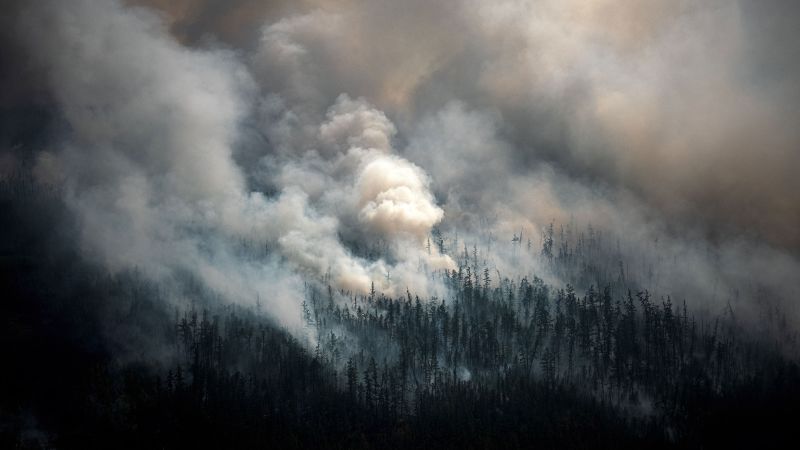 Wildfires are getting more extreme and burning more land. The UN says it’s time to ‘learn to live with fire’