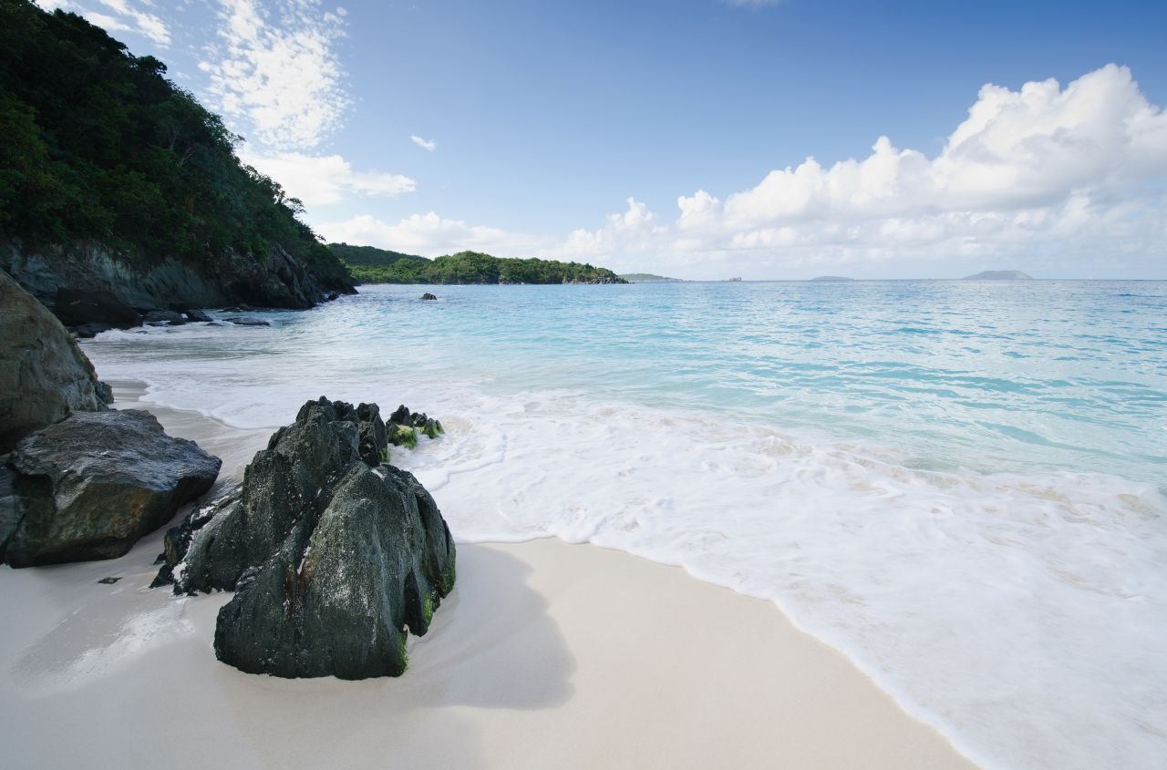 <strong>Trunk Bay Beach:</strong> In Virgin Islands National Park, Trunk Bay is known for leatherback turtles. 