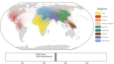 Posnetek iz videoposnetka, ki so ga objavili avtorji študije, prikazuje približne geografske lokacije človeških prednikov.