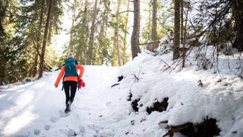 underscored patagonia winter sale lead