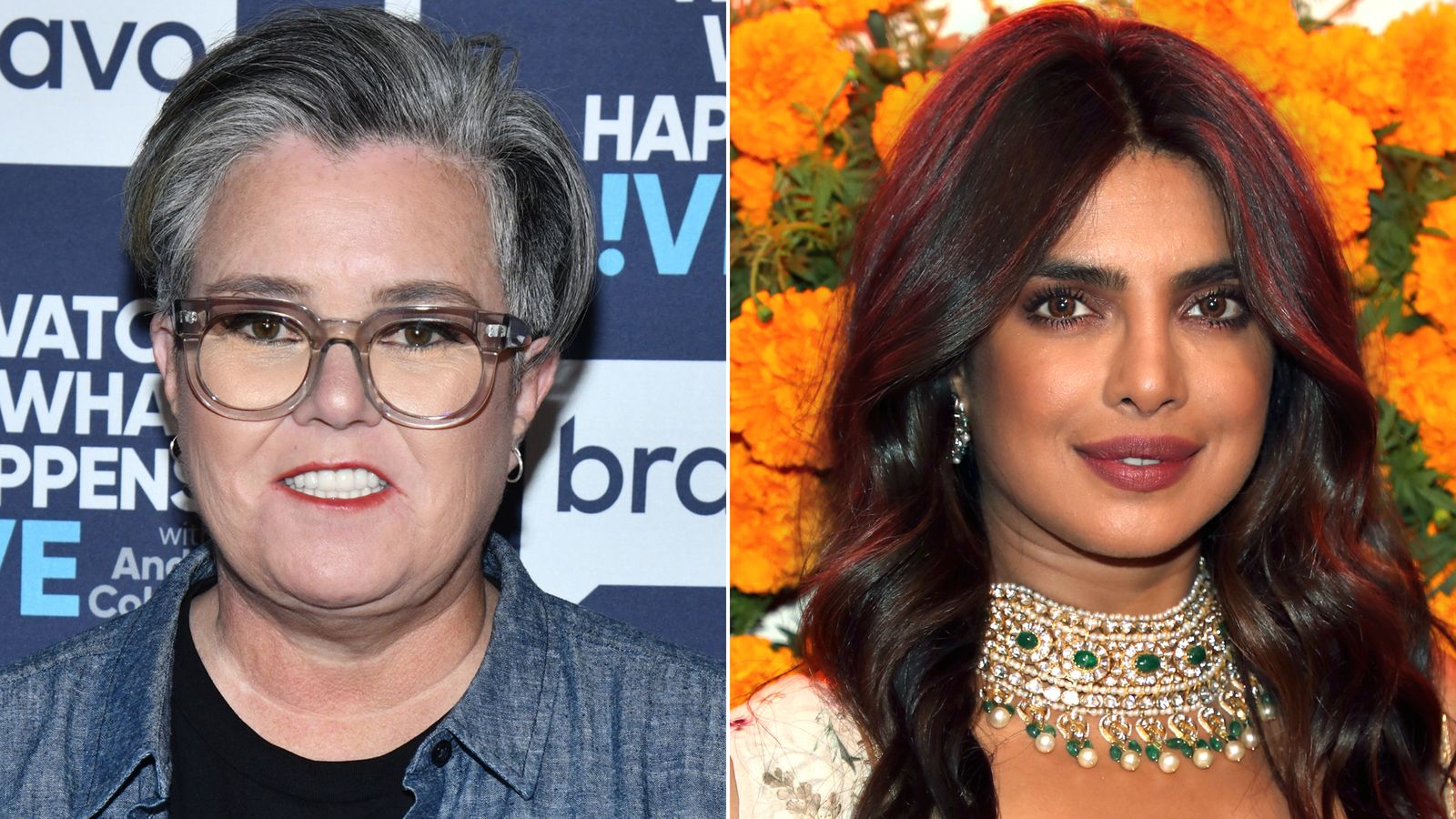 Priyanka Chopra Jonas to Rosie O'Donnell: 'Google my name' | CNN