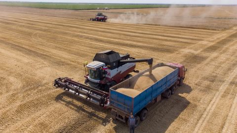 Russia and Ukraine together account for about a third of global wheat supply.