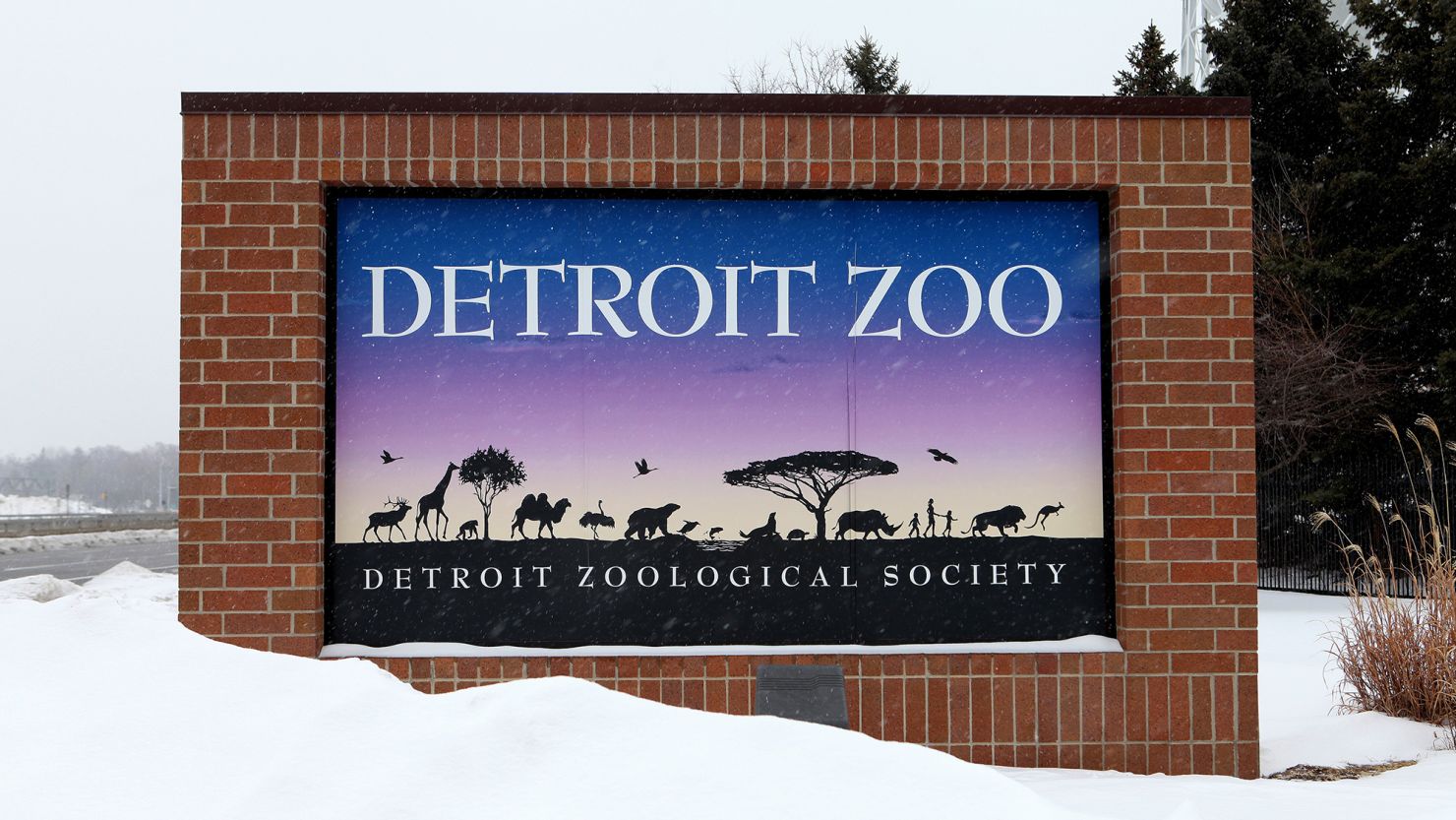 The Detroit Zoo is moving birds inside as a proactive measure against bird flu.