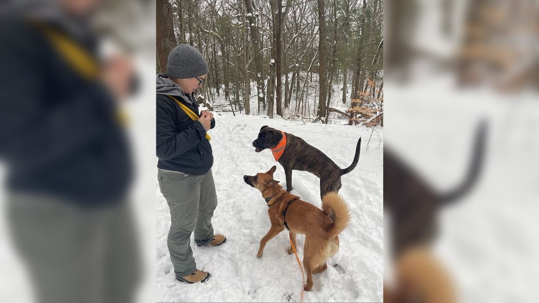 Ran Courant-Morgan of Boston hikes with new friends, thanks to connections made on social media with fellow dog lovers.
